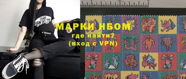 хмурый Алзамай