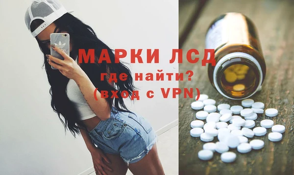 хмурый Алзамай