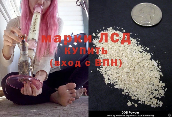 хмурый Алзамай