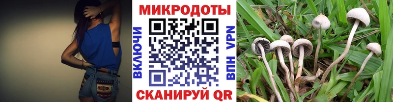 Галлюциногенные грибы Psilocybe  Тулун 